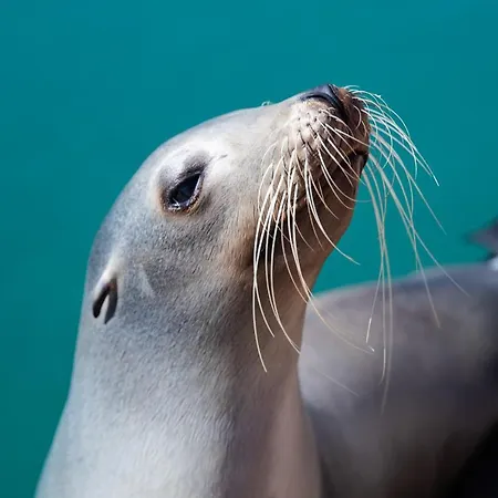 Appartement Casa Torres 209 *