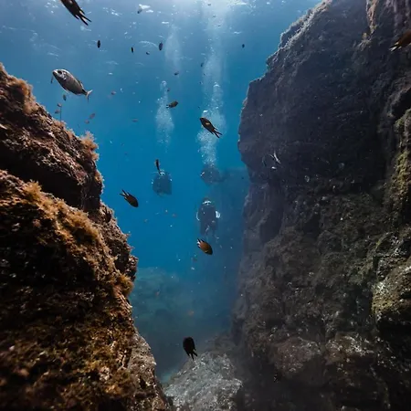 アパート Casa Torres 209 コスタ・デ・アンティグア